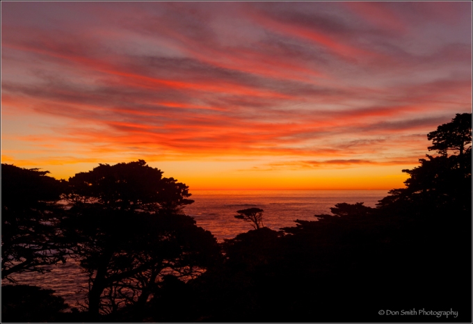 Day's End, Point Lobos