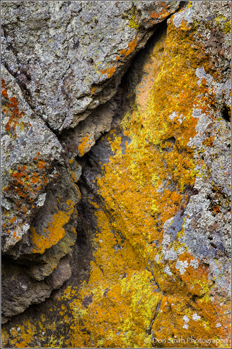 Cracked Granite and Lichen